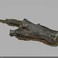 Natural Wood and Stone Tree Stump Decor with Rustic Texture and Organic Details