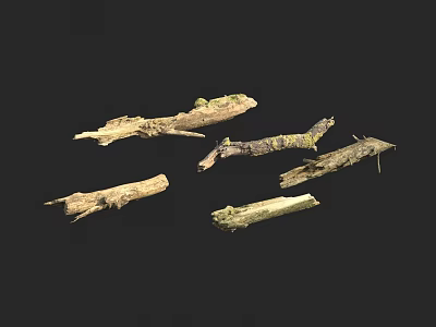 Natural Stone And Wood Craft Materials With Organic Textures And Shapes 3d model