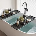 Modern Bathroom Accessories with Bathtub Black Tray Bottles and Green Plants