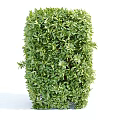 Well Trimmed Hedges With Columnar Shapes And Spiral Maze In Garden Design