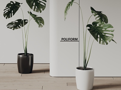 poliform modern potted plant green plant 3d model