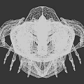 Alien Creature Skeleton Displaying Humanoid Form With Large Skull And Long Limbs