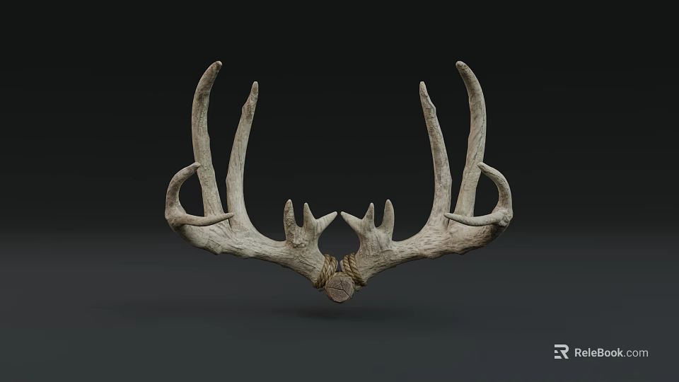 Natural Deer Antler Decorative Wall Mounted Art For Home Decor 3d model 