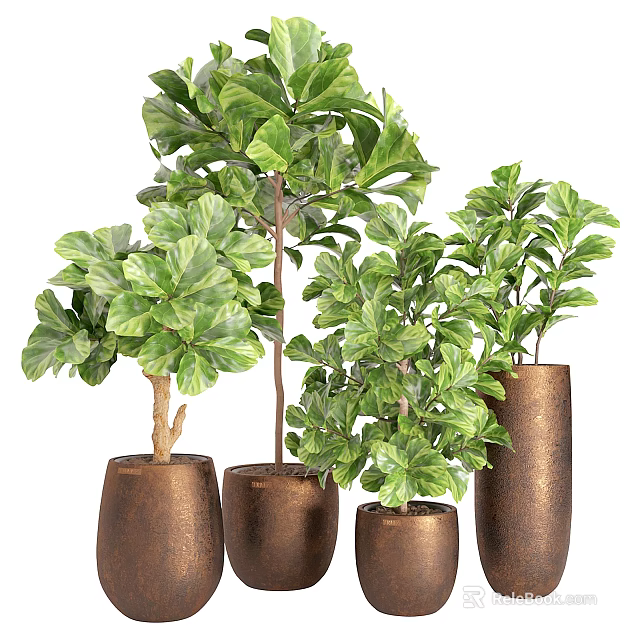 Lush Green Bonsai Plants In Metallic Brown Pots With Various Sizes And Foliage 3d model 
