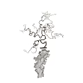 Pair Of Artistic Bonsai Potted Plants With Intricate Twisted Branches And Textured Pots