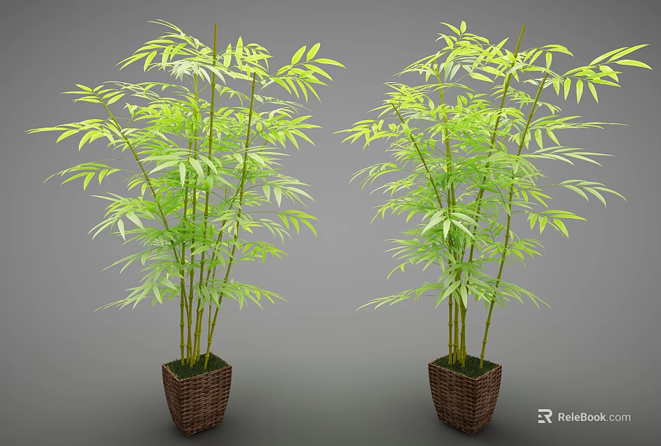 Green Leafy Bamboo Potted Plants In Woven Brown Baskets For Home Decor 3d model 