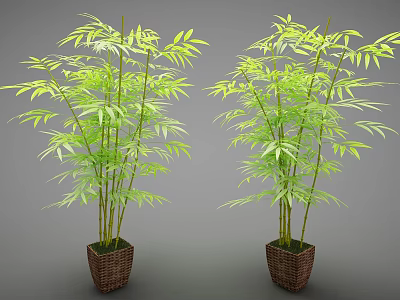 Green Leafy Bamboo Potted Plants In Woven Brown Baskets For Home Decor 3d model