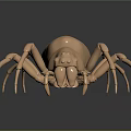 Detailed Copper Colored Spider Model Featuring Long Legs On Reflective Dark Background