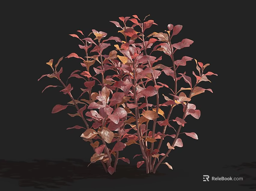 Vibrant Aquatic Plant With Red Pink Leaves And Lush Foliage In Fresh Water 3d model 