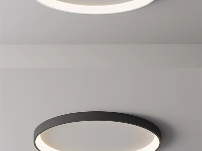 Modern Round Ceiling Light With Black Frame And White Illuminated Panel For Modern Home 3d model