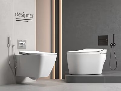 Modern Designer Bathroom Interior Featuring White Wall Hung And Floor Standing Toilets 3d model