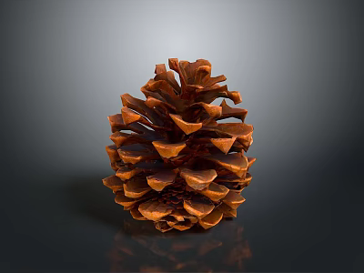 Brown Conical Pine Cone With Scaly Texture On Dark Reflective Background 3d model
