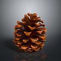 Brown Conical Pine Cone With Scaly Texture On Dark Reflective Background 3d model