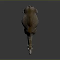 Camel With Single Hump Light Brown Fur Standing On Dark Background 3d model