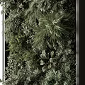 Double Sided Vertical Greenery Wall With Various Lush Tropical Plants 3d model