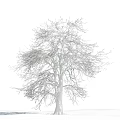 The Modern Tree 3d model