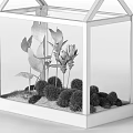 Decorative Ornament Set With Small And Large Glass Greenhouse Terrariums Plants And Stacked Books