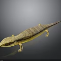 Detailed Yellow And Brown Patterned Lizard With Long Body On Black Background