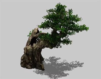 Old Arbor With Twisted Trunk And Lush Green Foliage 3D Rendering 3d model