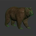 Realistic Brown Bear 3D Model With Detailed Fur Texture And Standing Pose 3d model