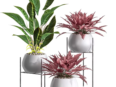 Indoor Multi tiered Metal Plant Stand With White Pots And Green Pink Plants 3d model