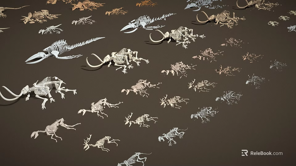 Various Dinosaur Skeleton Fossils of Different Types Displayed on Dark Background 3d model 
