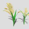Golden Rice Plants With Green Leaves And Ripe Ears Casting Shadows
