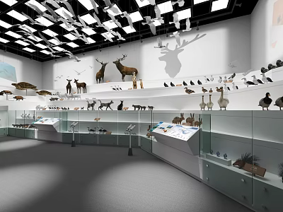 Museum Interior With Various Animal Specimens In Glass Display Cases White Walls And Ceiling Lights 3d model