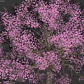Pink Flowering Shrub With Vibrant Blooms And Brown Stem In Garden