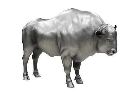 European Bison Cattle 3d model