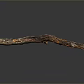 Natural Textured Wood Branch With Brown Orange Color And Glossy Reflection On Dark Background