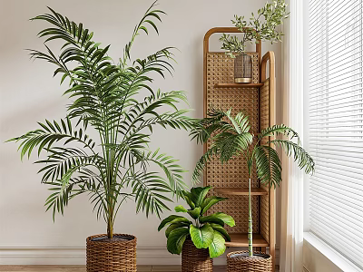 Indoor Bonsai Potted Plants With Woven Baskets Palm And Monstera By Window Shelf 3d model