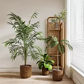 Indoor Bonsai Potted Plants With Woven Baskets Palm And Monstera By Window Shelf