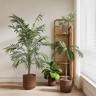Indoor Bonsai Potted Plants With Woven Baskets Palm And Monstera By Window Shelf 3d model