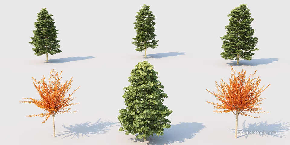 Various Arbor Trees With Green And Orange Leaves In Different Shapes And Shadows 3d model 