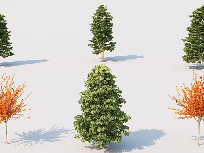 Various Arbor Trees With Green And Orange Leaves In Different Shapes And Shadows 3d model
