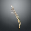 Animal Skeleton of Crocodile Like Reptile in Standing Posture on Gray Background