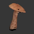 Fresh Orange Vegetable Mushroom with Smooth Cap and Firm Stem on Dark Background 3d model
