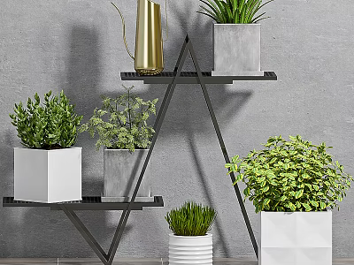 Indoor Potted Plants Display on Black Triangular Shelf with Various Material Pots and Grey Wall 3d model