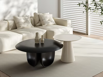 Modern Round Black and White Coffee Tables in Living Room with Beige Rug White Sofa 3d model