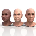 Three Bald Human Head 3D Models Showing Detailed Facial Organs And Features