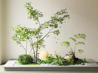 Indoor Mixed Plant Arrangement With Small Trees Ferns Pebbles And Round Decor 3d model