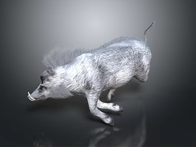 Gray Wild Boar With Mane Running On Black Background 3D Model With Reflection 3d model
