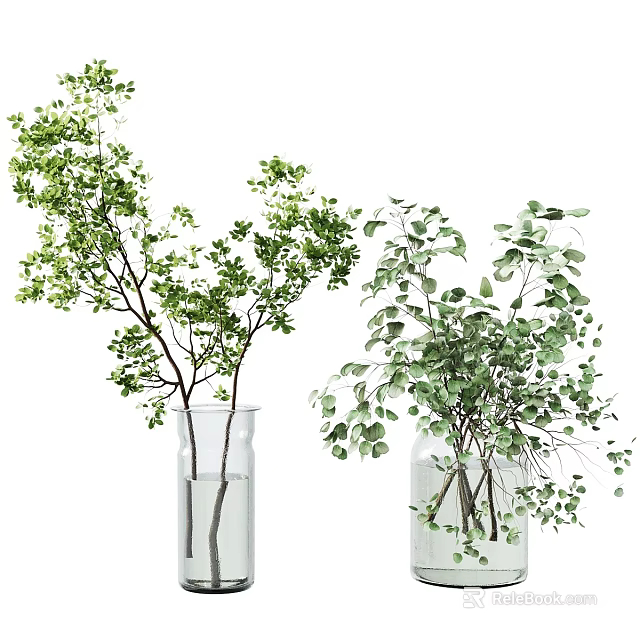 Natural Green Foliage Arrangement In Transparent Glass Vases For Home Decor 3d model 