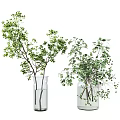 Natural Green Foliage Arrangement In Transparent Glass Vases For Home Decor
