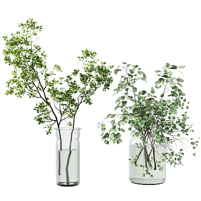 Natural Green Foliage Arrangement In Transparent Glass Vases For Home Decor 3d model