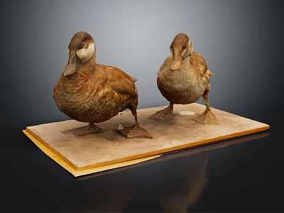 Two Stuffed Ducks Standing On A Wooden Base Detailed Taxidermy 3d model