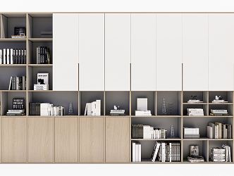 Modern bookcase 3d model