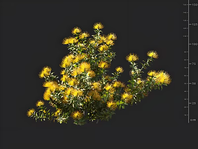 Vibrant Bunch of Yellow Flowers with Lush Green Leaves on Dark Background 3d model
