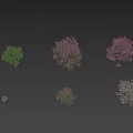 Various Types of Flowering Trees with Pink Blossoms and Green Foliage in Garden Landscaping Collection